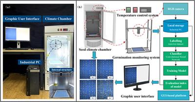 WSVAS: A YOLOv4 -based phenotyping platform for automatically detecting the salt tolerance of wheat based on seed germination vigour